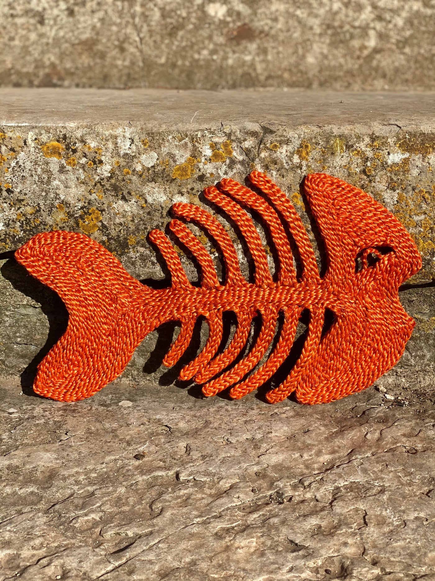 Fish placemat– Orange