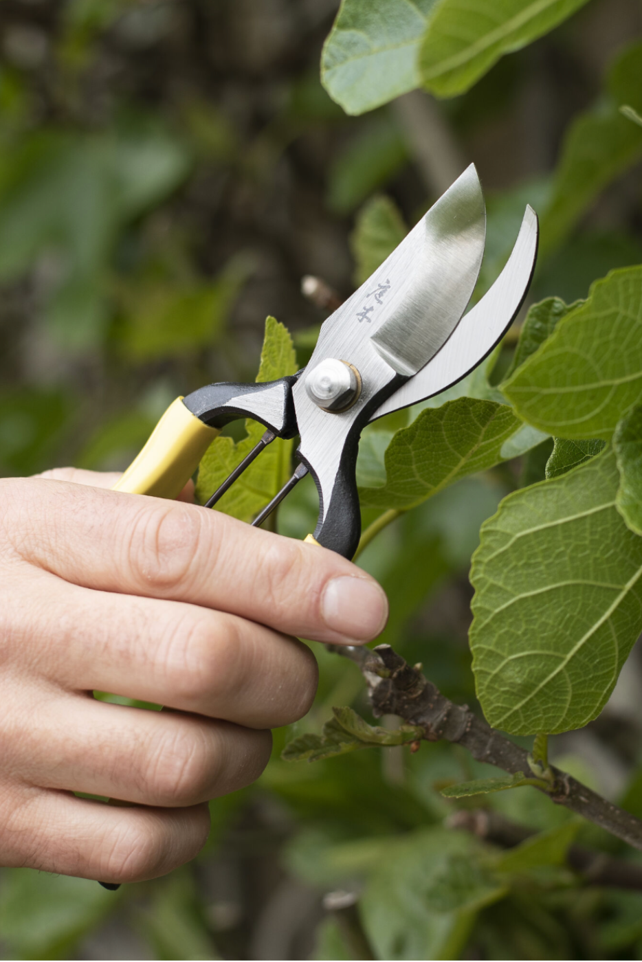 Higurashi Secateurs