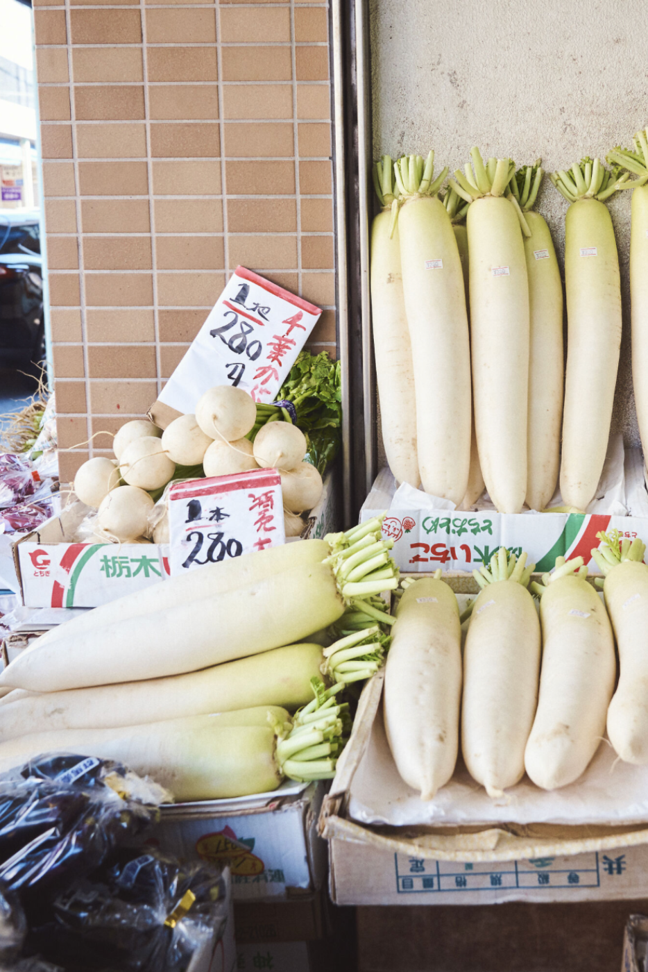 Daikon Japanese Radish Seeds