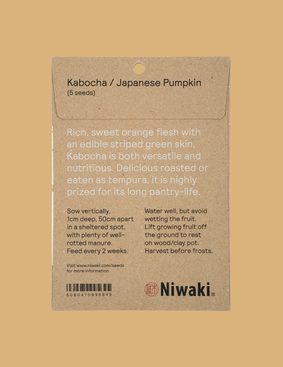 pumpkin seeds to plant