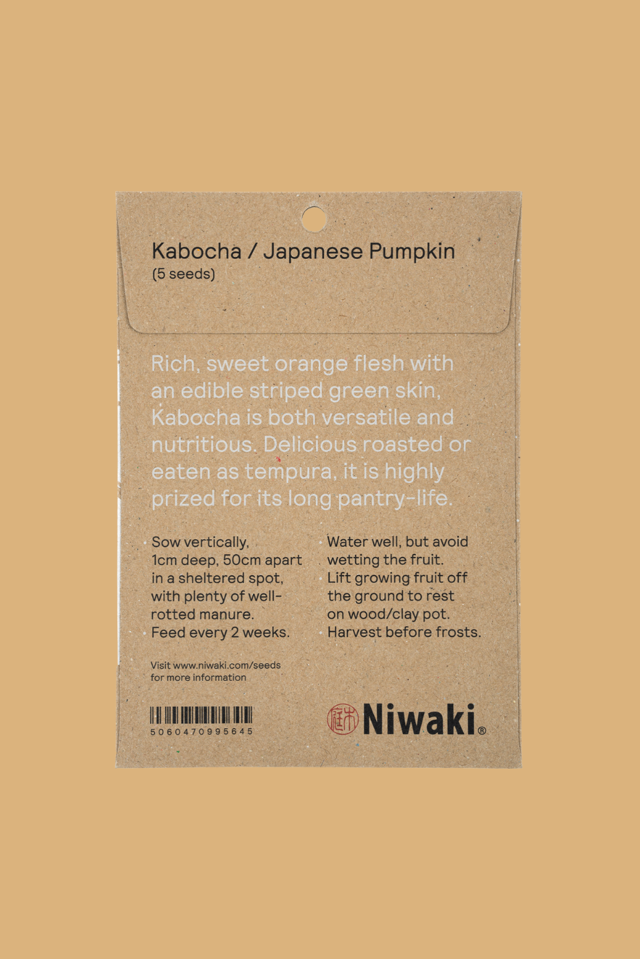 pumpkin seeds to plant