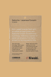 pumpkin seeds to plant