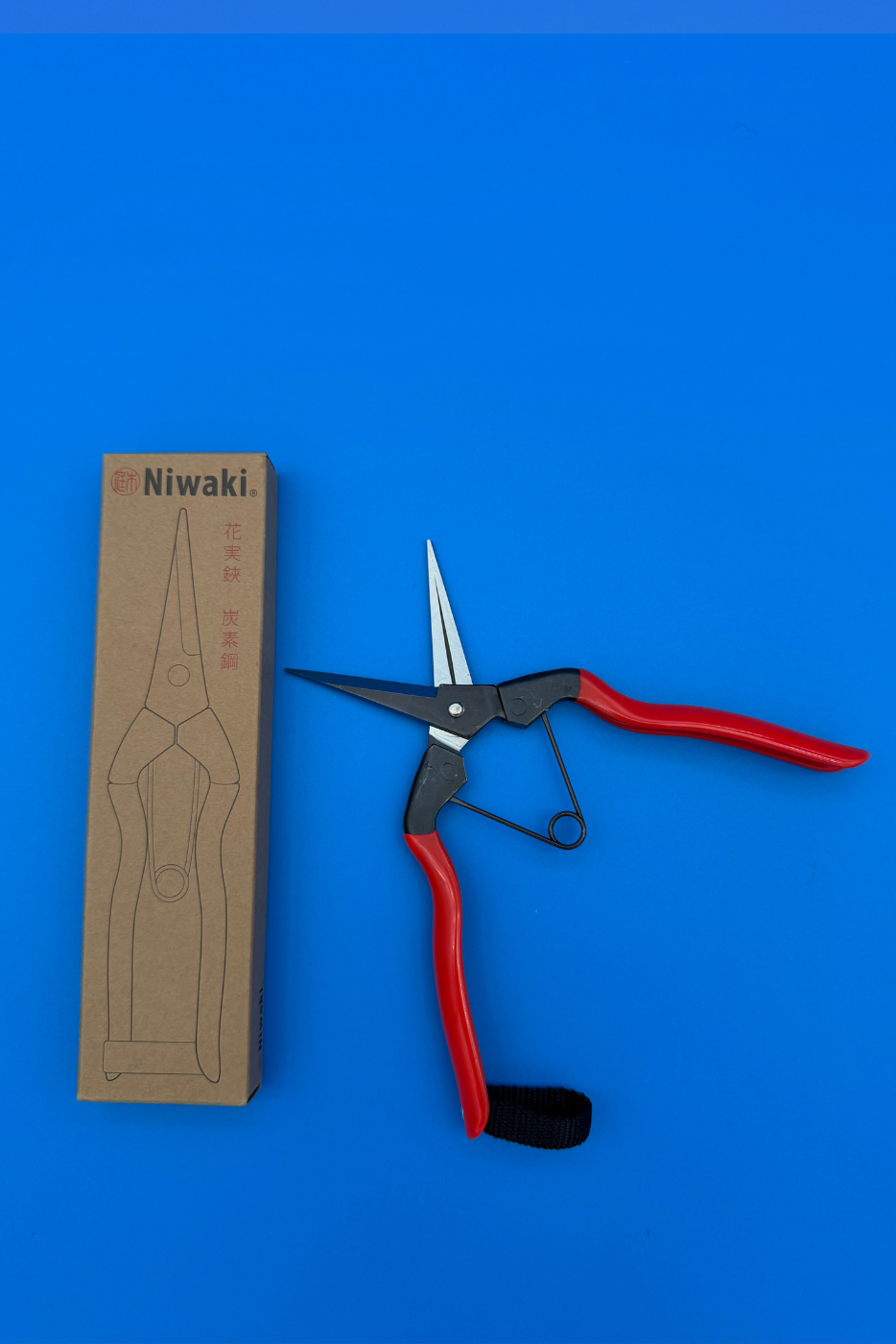 Garden Snips