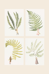Fabulous Ferns A6 Notecards