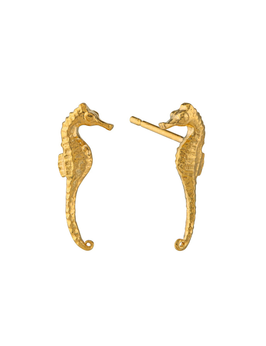 gold plated seahorse stud earring