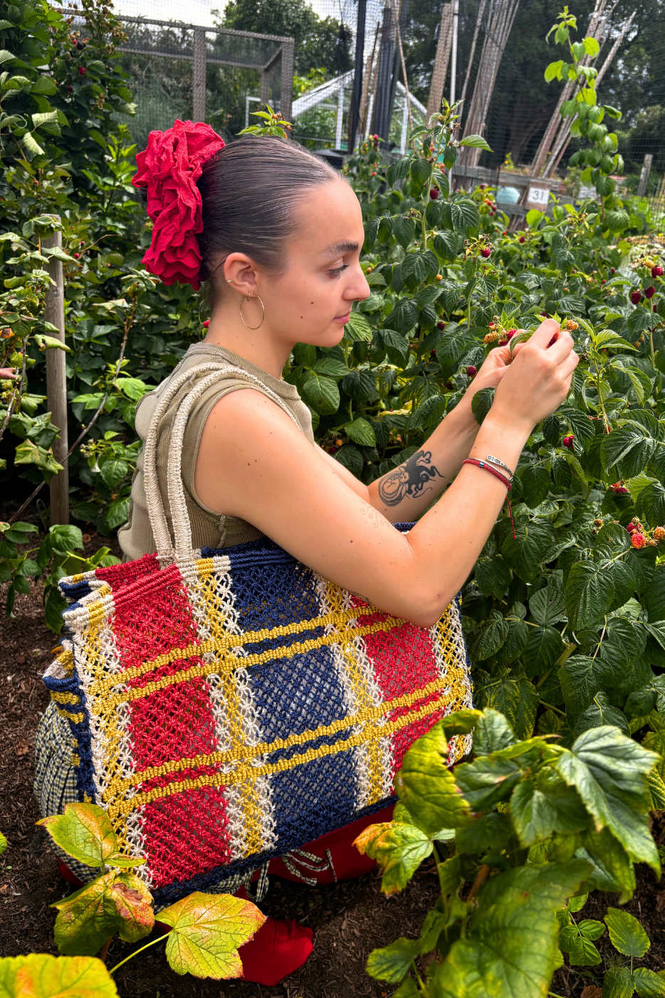 Tartan picnic bag - Palace