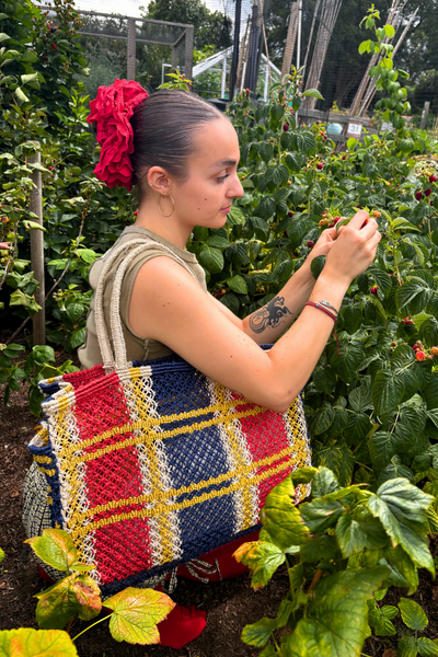 Tartan picnic bag - Palace