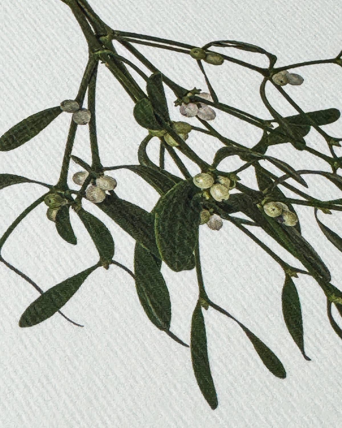 Mistletoe Christmas Card