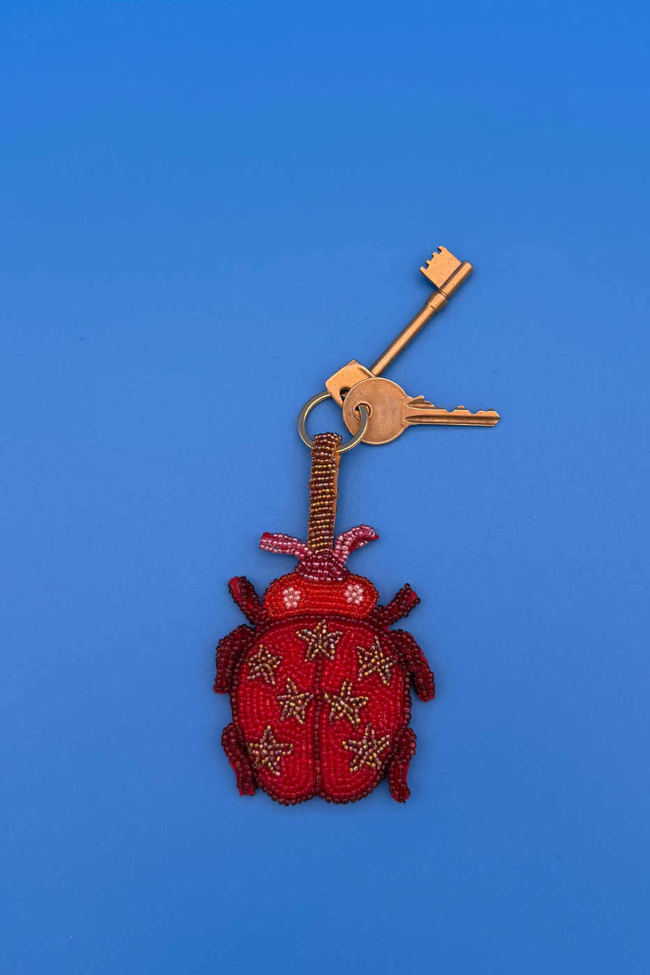 Ladybird Charm Keyring