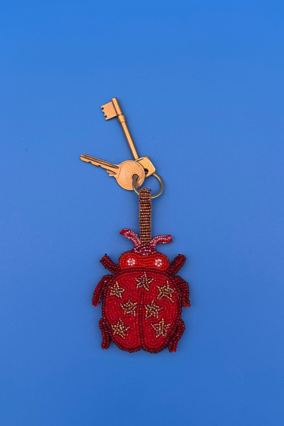 Ladybird Charm Keyring