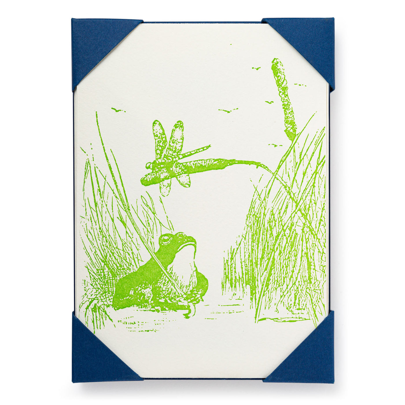 Frog Cards  -  Set of 5