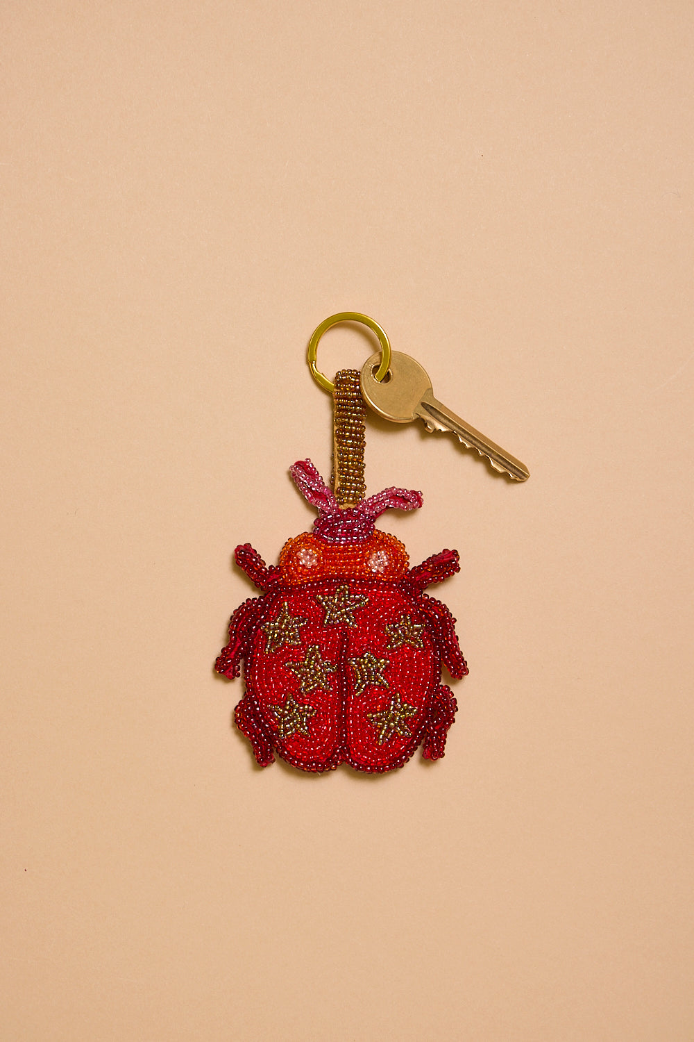 Ladybird Charm Keyring