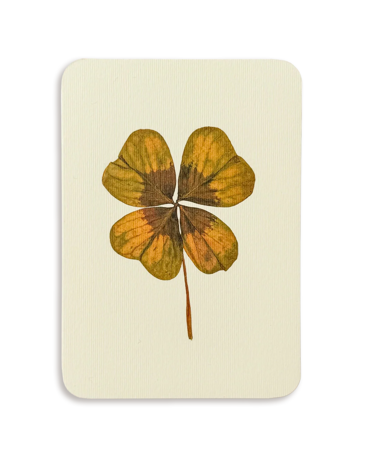 Fourleafclover1.webp