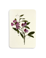 Violet Sweet Pea Greeting Card