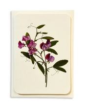 Violet Sweet Pea Greeting Card