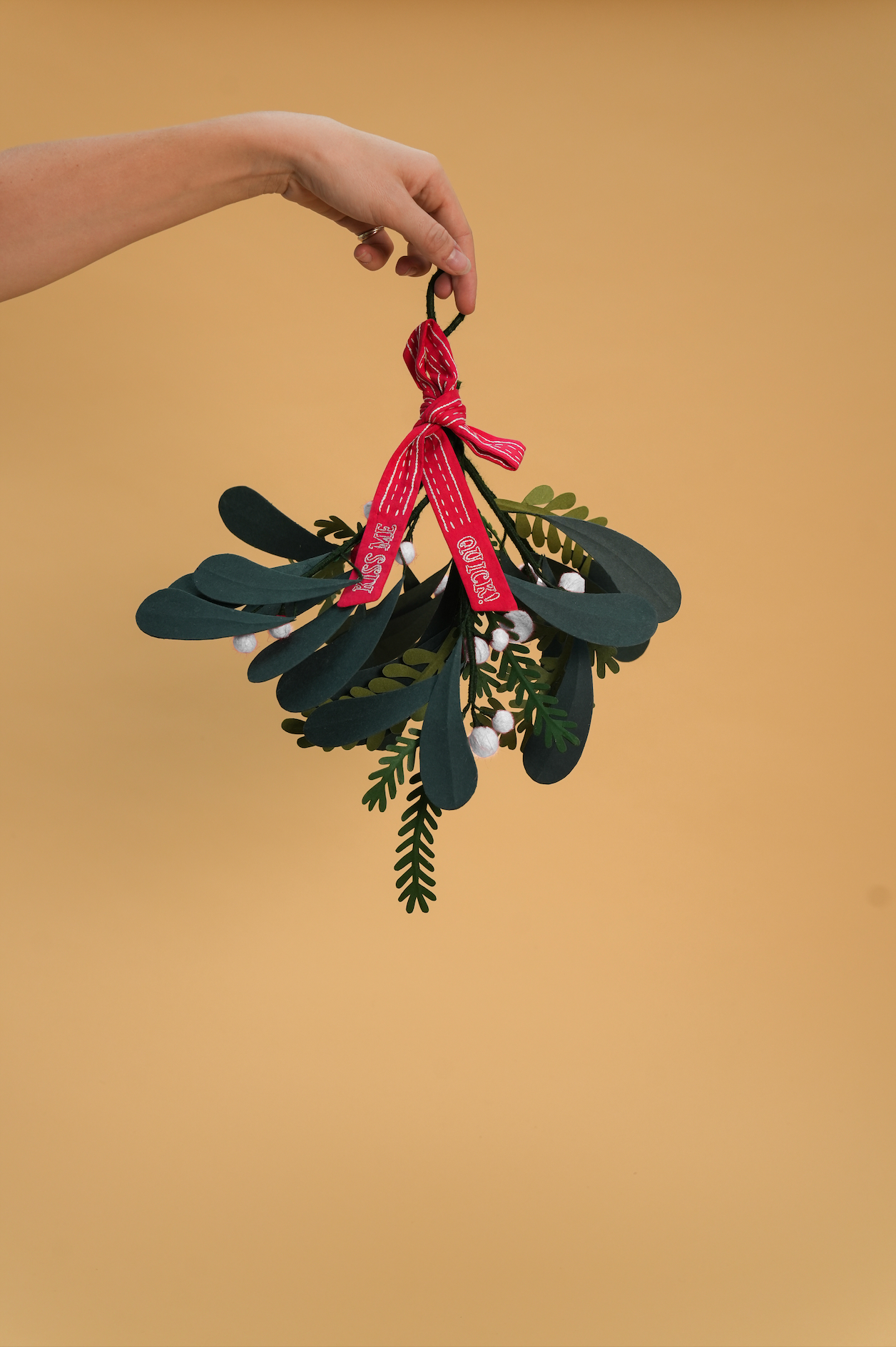 Mistletoe Decoration