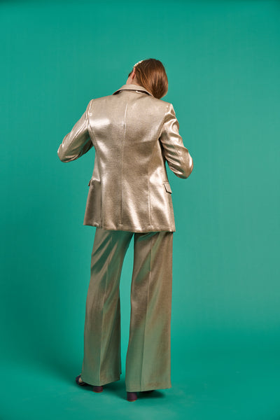 Silver Shine Jacket