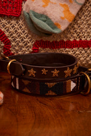 Gold Stars Dog Collar