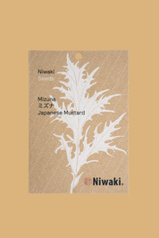 Japanese mustard seeds to plant 