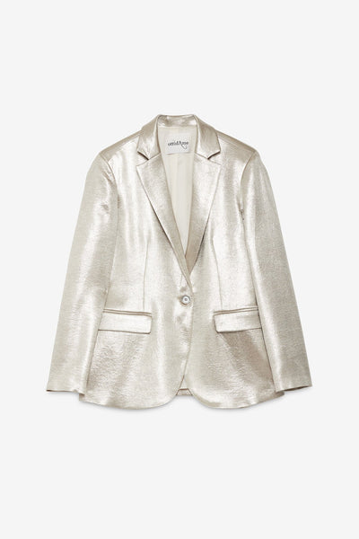 Silver Shine Jacket