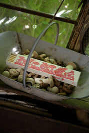Mushroom Long Matches