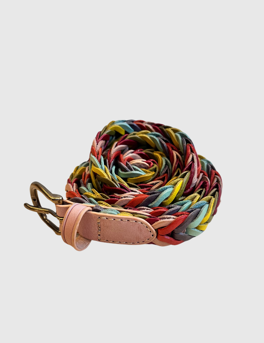 dragondiffusion_multibelt.png