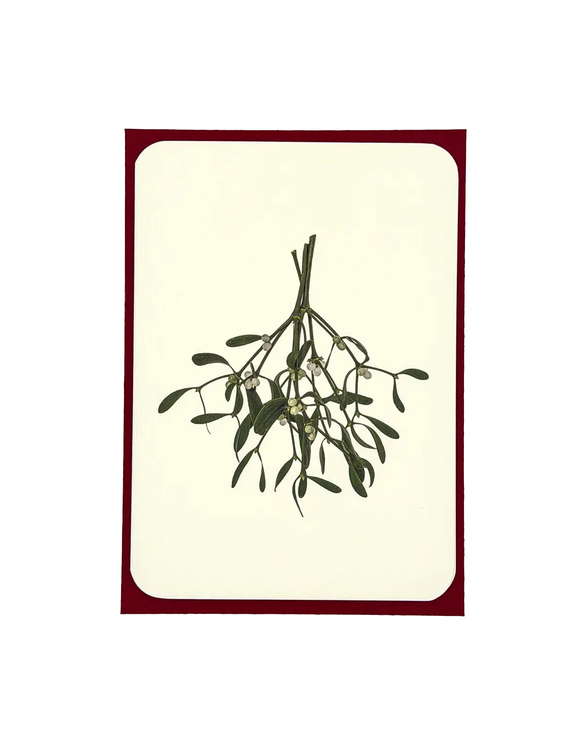 Mistletoe Christmas Card