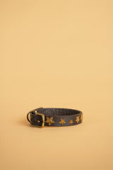 Gold Stars Dog Collar