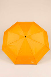 yellow umbrella 