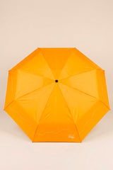 Pocket Umbrella