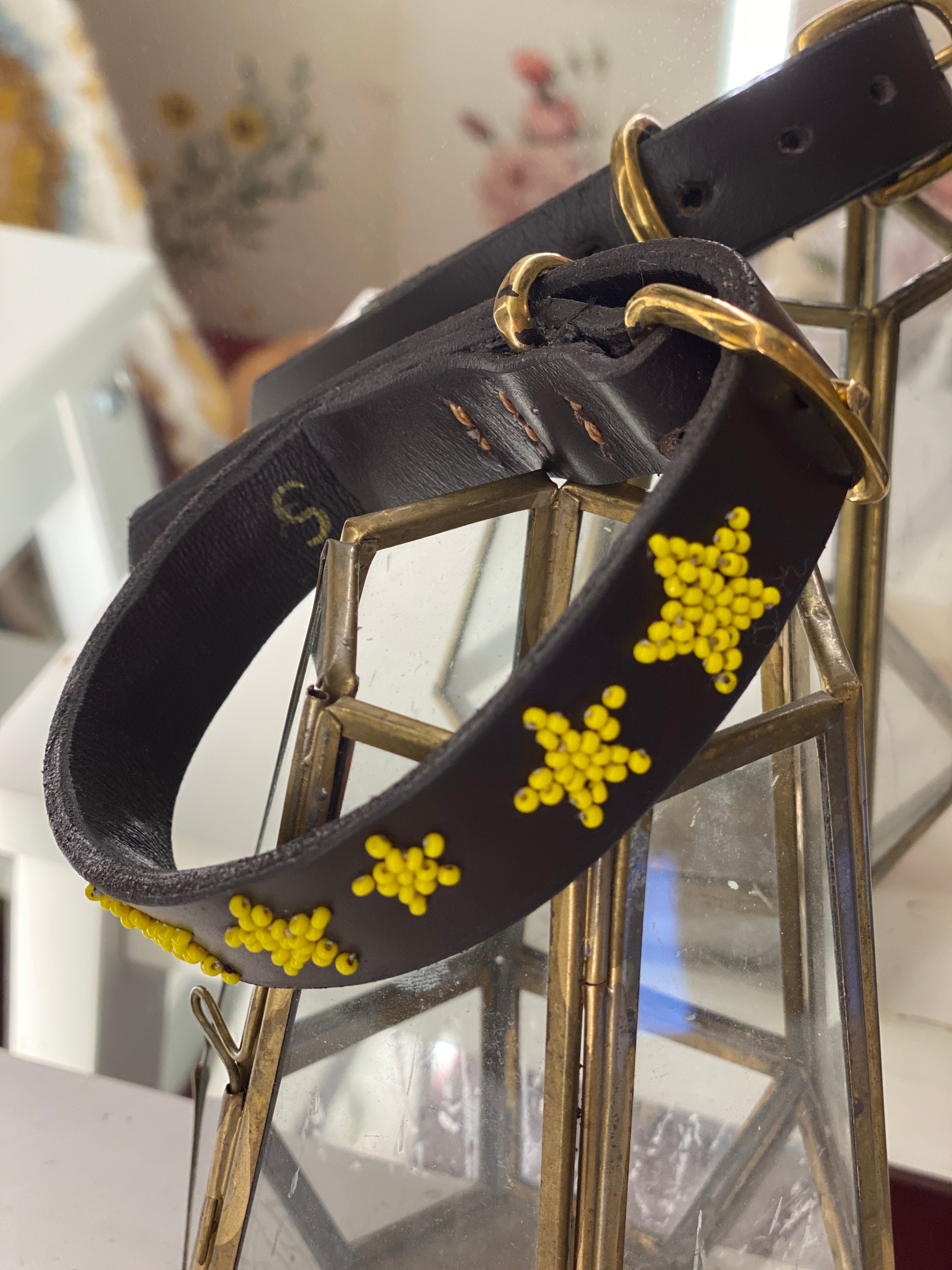 Yellow Stars Dog Collar
