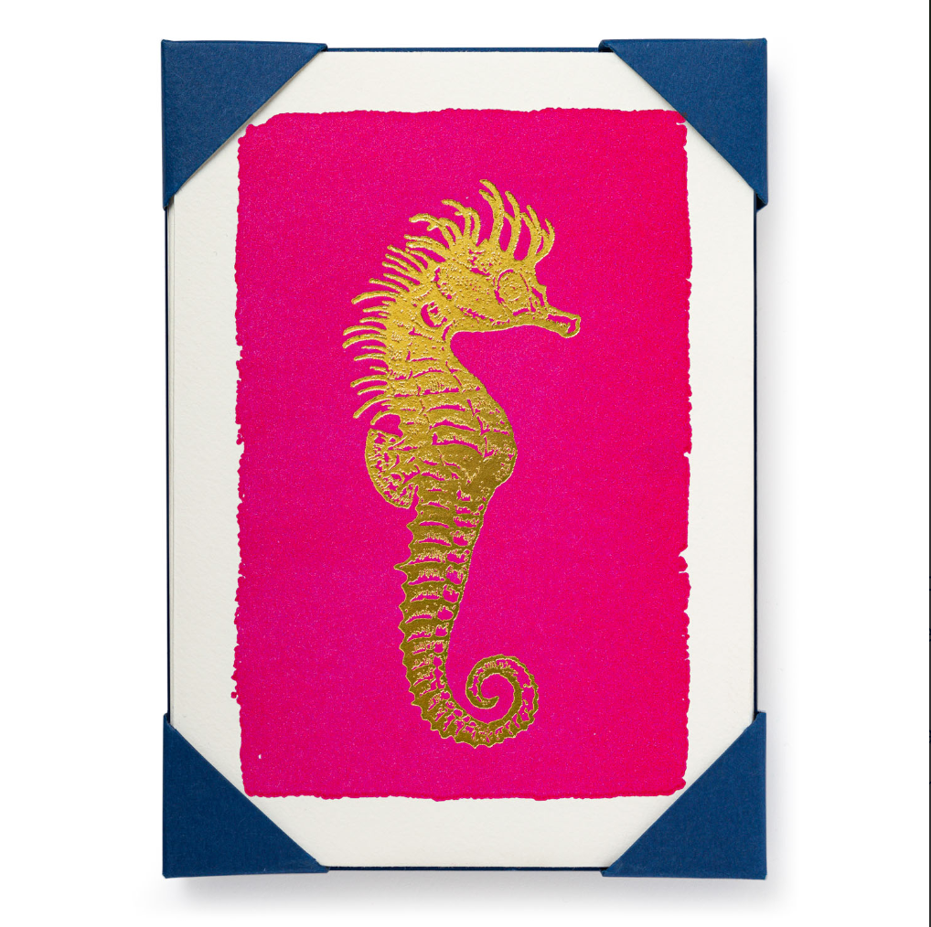 Seahorse Cards - Set of 5